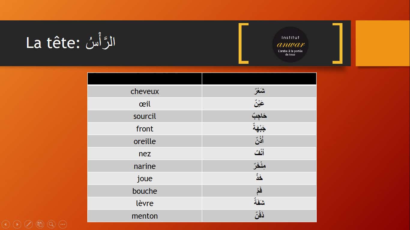 vocabulaiire de parties de la tête en arabe