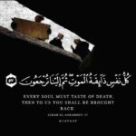 telechargement 1 1 Allah y rahmo