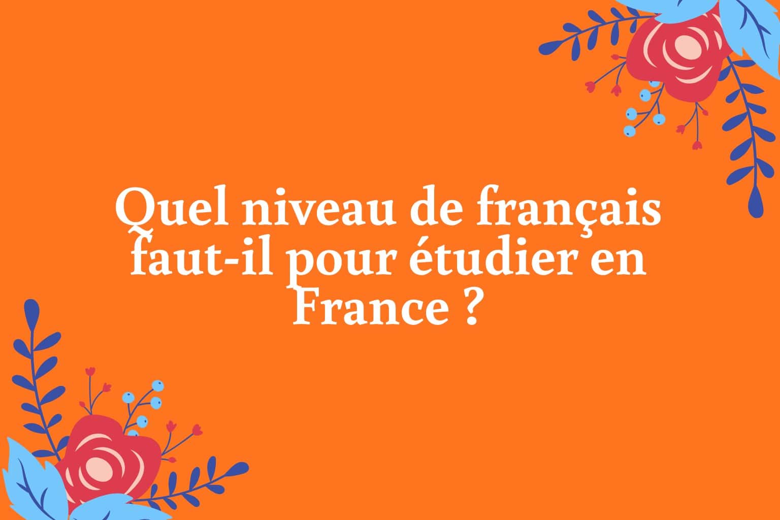 Quel niveau de français faut-il pour étudier en France
